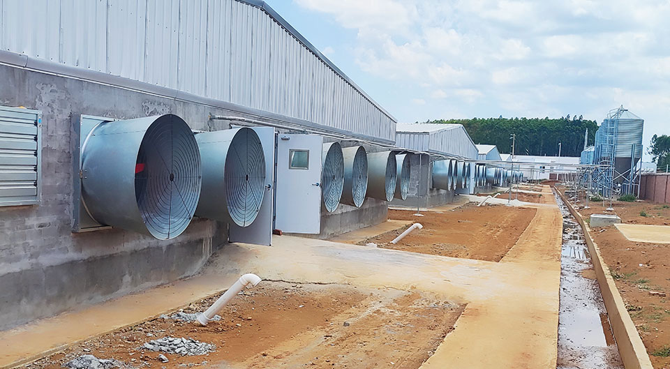 Application example of the cone fan